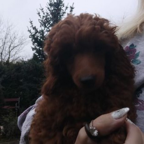 317749935_6144964305514319_7042254500089348965_n